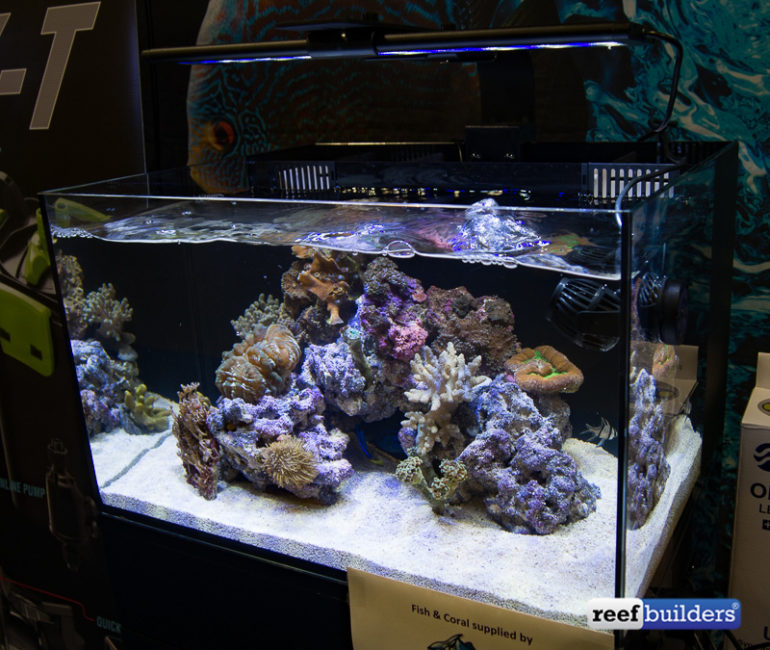 C View All In One Aquariums Unveiled By Cobalt Aquatics Reef Builders