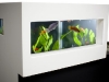 archiquarium-4