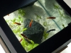 archiquarium-5