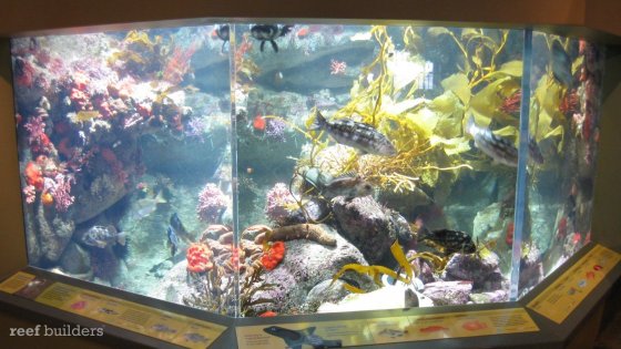 seashine-lifi-monterey-bay-aquarium