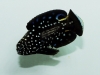 sustainable-aquatics-marine-betta-6