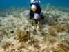 fl-coral-nursery-photo-080710c