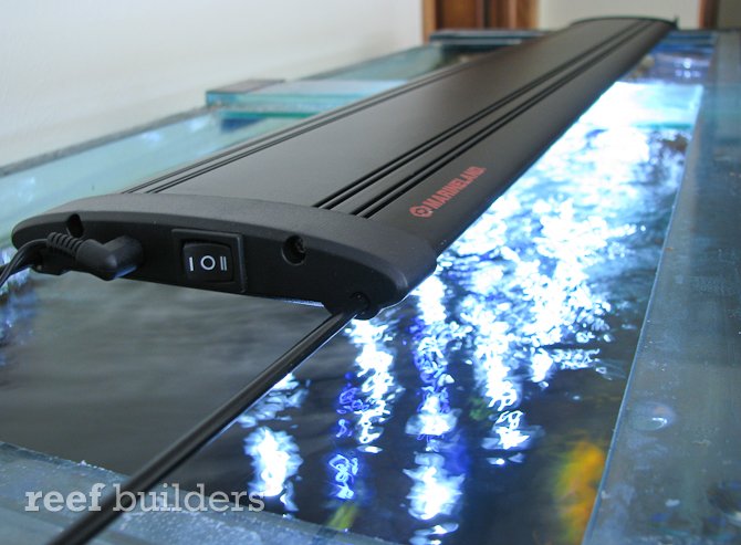 marineland double bright led