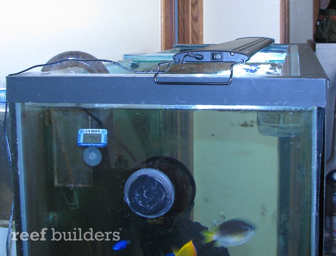 marineland double bright led