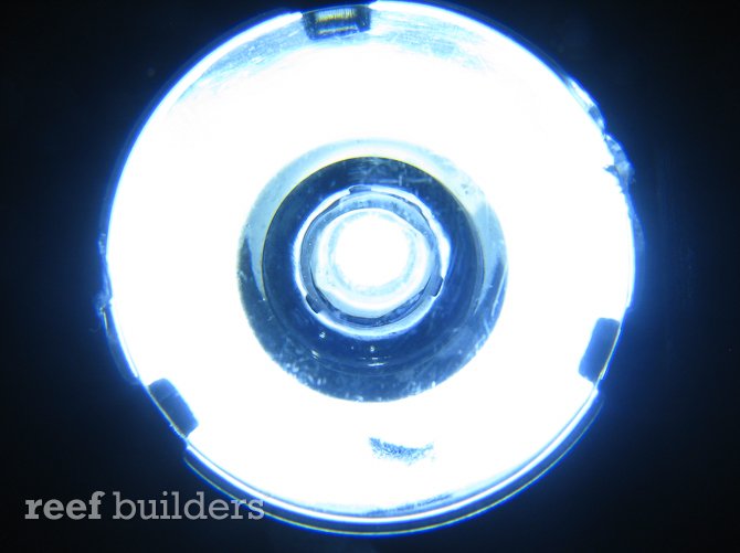 marineland double bright led