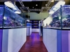 elos-aquastudio-new-york-11