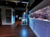 elos-aquastudio-new-york-12