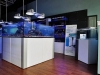 elos-aquastudio-new-york-7