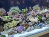 fluval-led-striplight-4