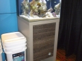 fluval-marine-2