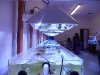 green-marine-tanks-2