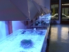 green-marine-tanks-4