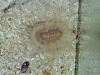20100701_3935549