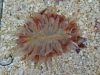 20100809_4004134