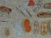 20100823_4029048