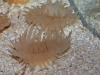 20110125_4299894