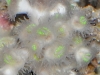 20110204_4313236