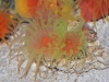 20110224_4339988