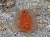 20110523_4501034