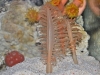 20110523_4501036