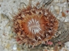 20110523_4501037