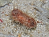 20110523_4501039