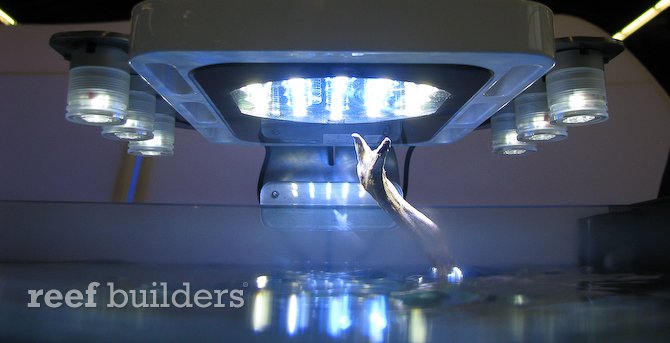 EspotXL LED light by Elos flanked with E-stripes
