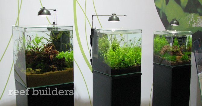 aqualife-eheim-nano-led-tank-aquarium.jpg