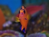 coral-beauty-aug-21-2011-front