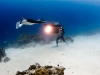 pl_last_reef2_f
