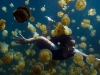 pl_last_reef3_f