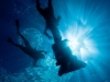 pl_last_reef4_f
