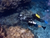 pl_last_reef5_f