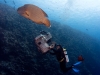 pl_last_reef7_f