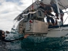 pl_last_reef9_f