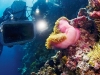 pl_last_reef_f