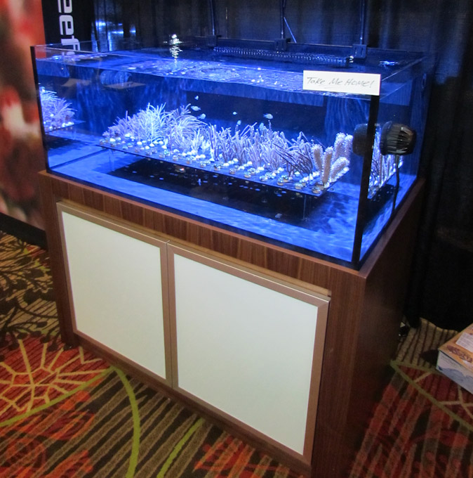 ... raffling off a masterpiece aquarium with solid wood and metal stand