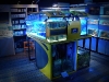 neo-aquarium-display-2