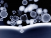 hm-ralph-grimm_entry_21528_radiolariashells1_main
