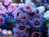 dscf4337