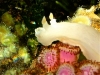 dscf4624