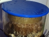 orca-pro-needle-wheel-protein-skimmer-myreef-creation-1