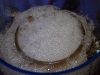 orca-pro-needle-wheel-protein-skimmer-myreef-creation-2