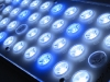 orphek-aquarium-led-lighting-2