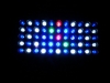 dscf3312
