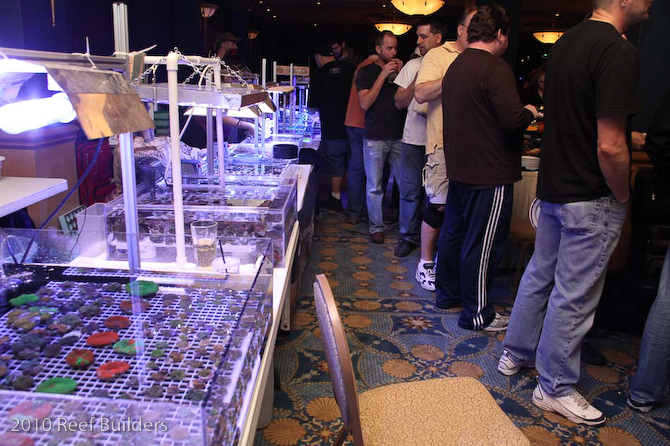 reefstock 2010 booth pictures