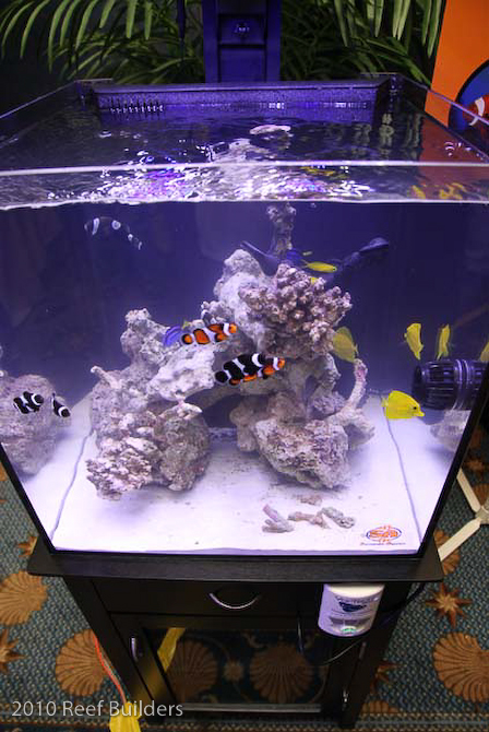 reefstock 2010 booth pictures