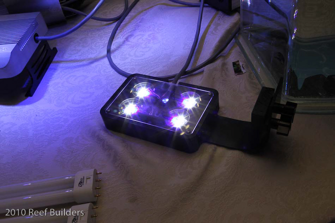 reefstock 2010 led aquarium light demonstration
