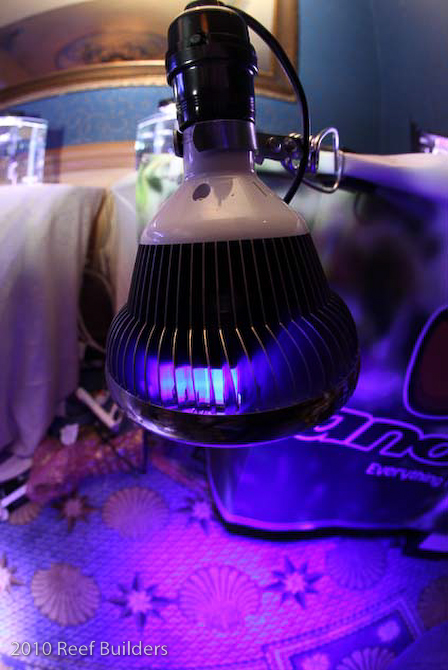 reefstock 2010 led aquarium light demonstration