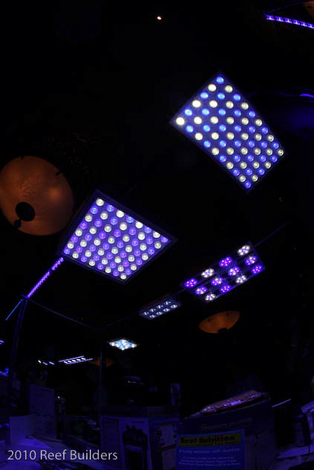 reefstock 2010 led aquarium light demonstration